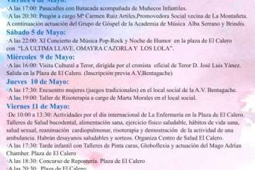 Programa de las fiestas de El Calero 2018 y ofrenda floral (Foto TA)